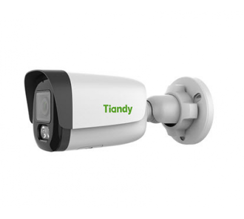 TIANDY TC-C32QNI3/E/Y/4MM-V5.0 IP-камера